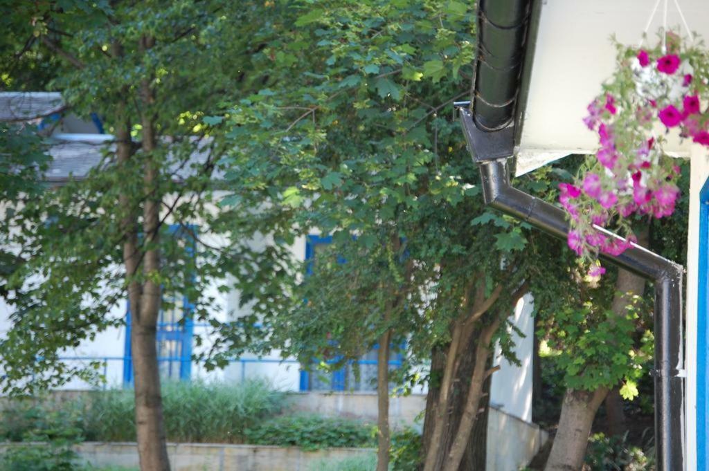 Комплекс Белите Къщи Shtarkelovo Gnezdo Eksteriør bilde